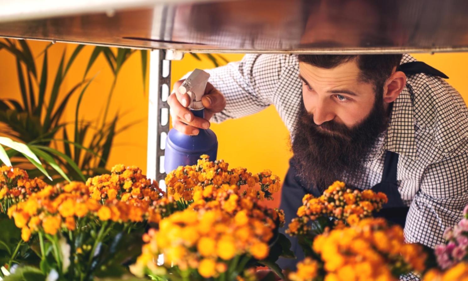 Professional floral arrangement setup process